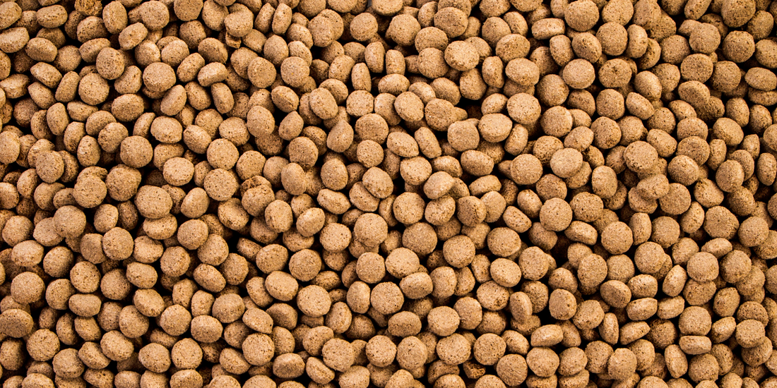Why Freeze-Dried Dog Food Is Superior!