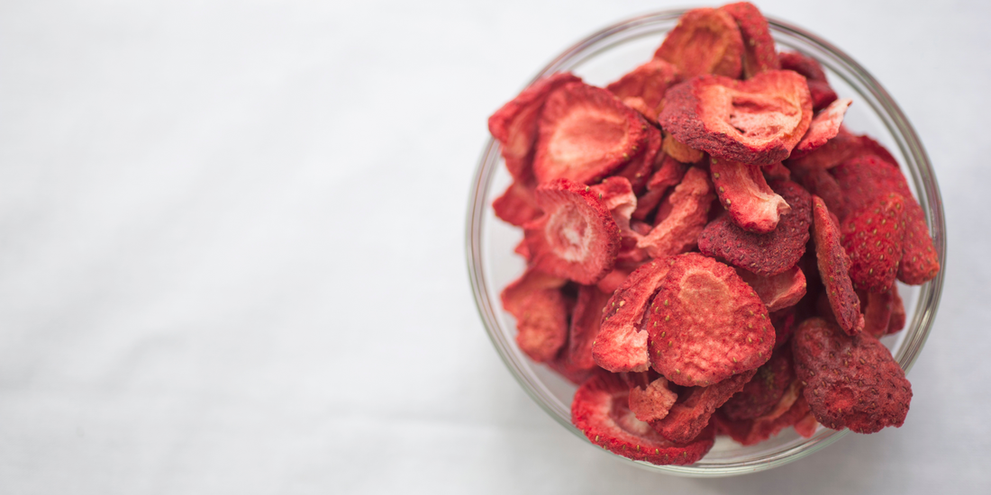 What Actually Is Freeze Drying?